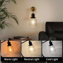 HonoDing Ceiling Lamp Replacement Shade Set of 4, Glass Ceiling Fan Light Covers, Clear Glass Lamp Shade for Ceilings Fan Light Chandelier Wall Sconce, Easy to Install