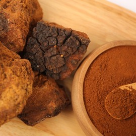 Chaga Mushroom Powder Powder 500g x 2 Premium 100% Russian Chaga Mushroom / 차가버섯 분말 가루 500g 2개 프리미엄 러시아산 차가버섯 100%
