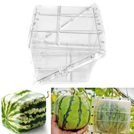 Denpetec Watermelon Mold - Square/Heart Shaped Fruit Shaping Mould - Transparent Plastic Garden Tool