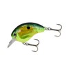 SHIMANO ZQ-C56V Freshwater Plug Bantam World Rush 56F Flash Boost
