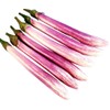 Chinese, Eggplant Seed - The Bride - 300 Heirloom Seeds - Non GMO - Neonicotinoid-Free