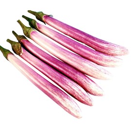 Chinese, Eggplant Seed - The Bride - 300 Heirloom Seeds - Non GMO - Neonicotinoid-Free