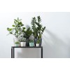 elho Brussels Round Mini 7 - Flower Pot for Indoor