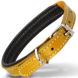 Filbert Leather Dog Collar, Genuine Leather Collar for Small Dogs, Premium, Luxury Padded, Strong, Adjustable for All Breeds, Heavy Metal Buckle, Ultra-Durable, Yellow