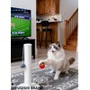 DIYUQISHI 10-Pack Cat Toy Balls with Bells for Kittens and