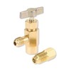 Aupoko R134A Self-Sealing Can Tap with Tank Adapter, 1/2" Acme