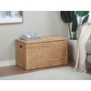 eHemco Heavy-duty Water Hyacinth Wicker Storage Trunk with Metal Frame,