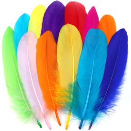 Ballinger Large Colored Goose Feathers Bulk for Crafts,120 PCS,6-8 Inch