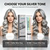Silver Hair Dye, Metallic Silver Gray Hair Color for Bleached