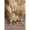 Ghoulish Productions - Little Monster Prop - Standard