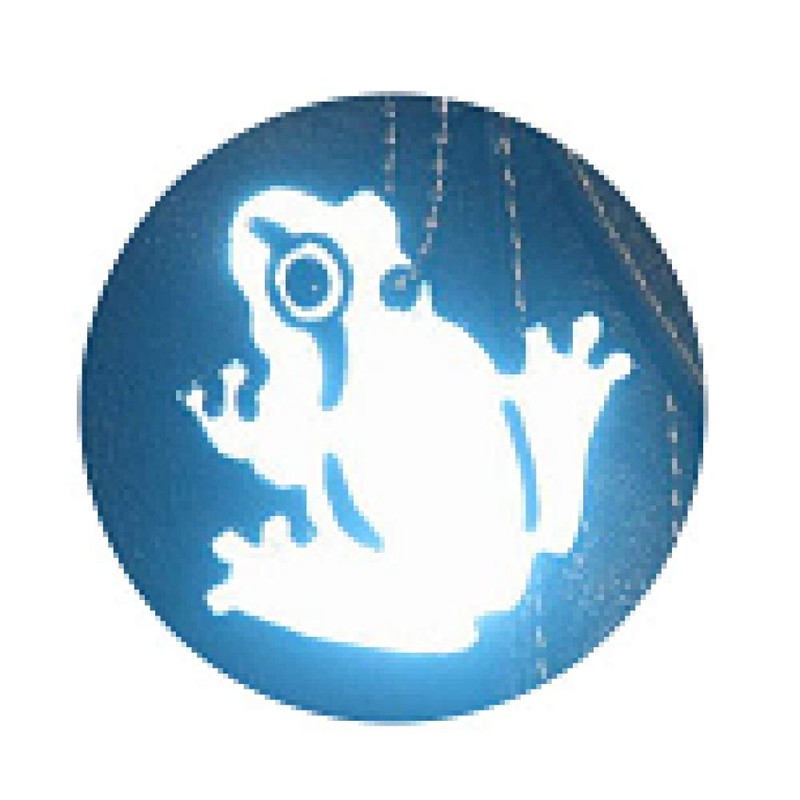 Yoshio Reflective Key Chain Frog Yellow HF-38