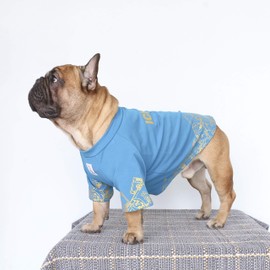 iChoue French Bulldog T Shirts Clothes for Medium Dogs Frenchie Pug English Pitbull Boston Terrier - Blue Money, M