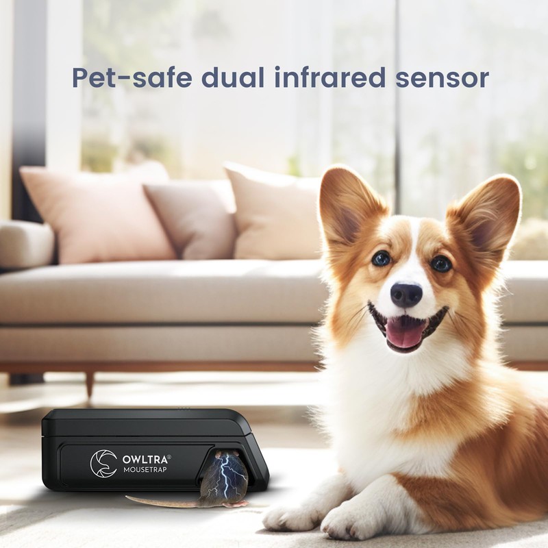 OWLTRA Indoor Electric Mouse Trap, Instant Eliminate Rodent Zapper with