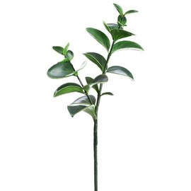 22" Kalanchoe Plant Green (Pack of 12)