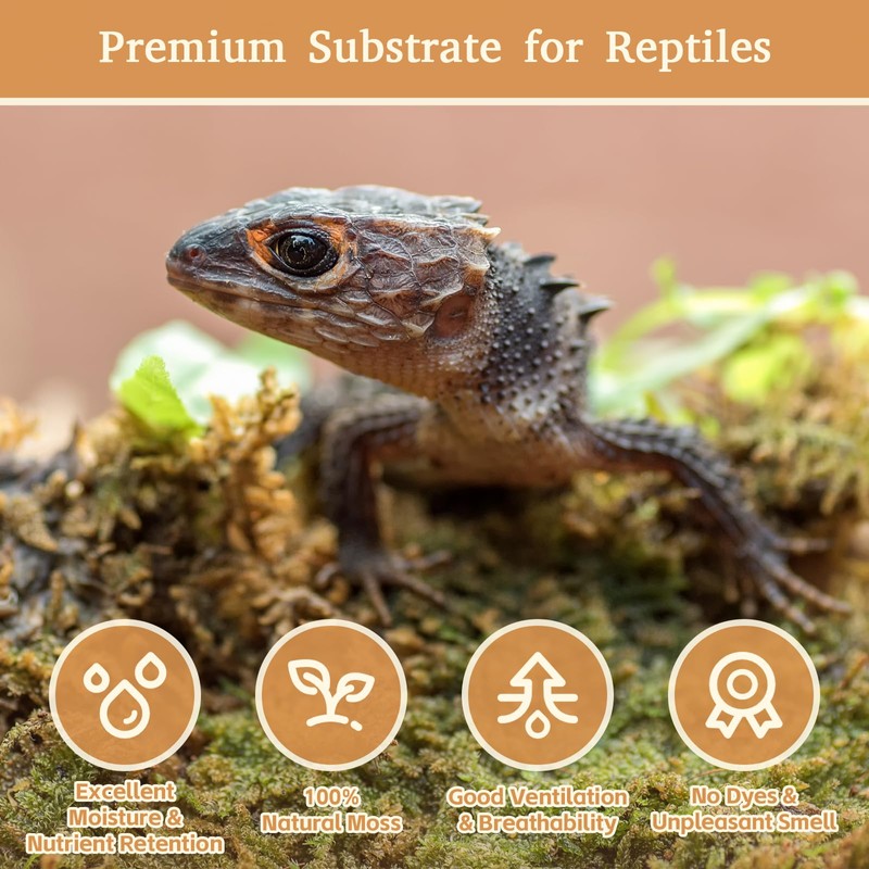 Riare 2.2LB Natural Sphagnum Moss for Reptiles- 50QT Reptile Substrate