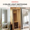 Kosmonia 58"x18" Full Length LED Mirror with Lights, Dimmable Standing/Wall