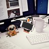 Handmade Animal Glasses Holder Stand Penguin and Sloth Eyeglass Stands,