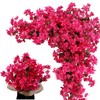 wardbum Pack of 20 - Artificial Bougainvillea Flower Stems Silk