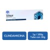Sinax Clindamicina Gel 1g / 100g Tubo Con 30 G