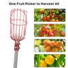 Fruit Picker, 8 FT Fruit Picker Pole with Large Basket,