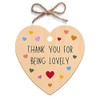 Second Ave Thank You For Being Lovely Wooden Hanging Friendship