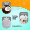 Fancy Pets Expert Shampoo para Perro con Pelo Blanco con