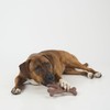 SPOT Bam-Bones Wishbone - Made with Strong Bamboo Fiber, Durable