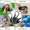 Roczential Dog Lift Support Harness Portable Sling for Support to