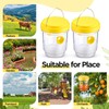 Qualirey 2 Pcs Wasp Traps for Outdoors Wasp Killer Hanging