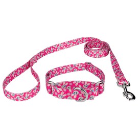 Country Brook Petz - Spring Bunnies Martingale Dog Collar and Leash - Spring Collection Featuring Springtime Designs (5/8 Inch, Small)