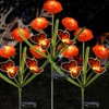 Dia de Los Muertos - Luces de flores de caléndula