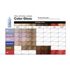 Paul Mitchell The Demi Color Gloss- Pearl Ash 177ml