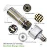 DragonLight 240W Commercial Grade Corn LED Light Bulb (1000 Watt