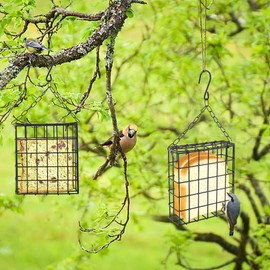 2 Packs Metal Suet Bird Feeder for Outside Hanging - Windproof Suet Cage, Ideal for Woodpeckers, Nuthatches & Wild Birds