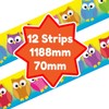 Colourful Owls Classroom Trimmers 14.25m long Notice Board Display Borders