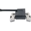 595304 Ignition Coil for Briggs Stratton Magnet Armature, Ignition Module