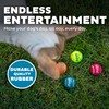 Outward Hound Squeaker Ballz – Squeaky Tiny Tennis Balls for