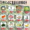 Organic Me モリンガパウダー 150g USDAオーガニック スーパーフード
