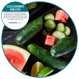 Fresh Products Wave 3D Urinal Screen Virtually Eliminates Urine Splash 30 Day Use Easy Installation Beneficial Bacteria Consistent Fragrance Made in the USA 10pk Urinal Screens Cucumber Melon