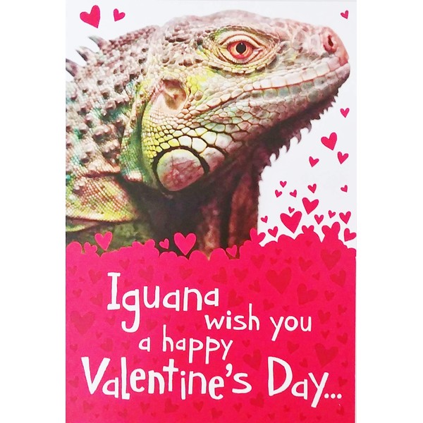 Greeting Card Iguana Wish You A Happy Valentine's Day