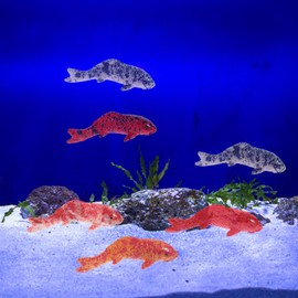Milisten 5Pcs Floating Fish Ornaments, Artificial Goldfish Decor, Resin Koi for Aquarium Tank, Garden Fountain Decoration