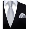 HISDERN Ties for Men Wedding Tie with Pocket Square Set