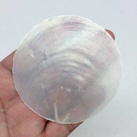 PEPPERLONELY 10 PC Round Natural Capiz Sea Shells, 3 Inch