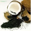 HydroTec Systems Company Inc. 5Lbs Pure Virgin Coconut Shell Bulk