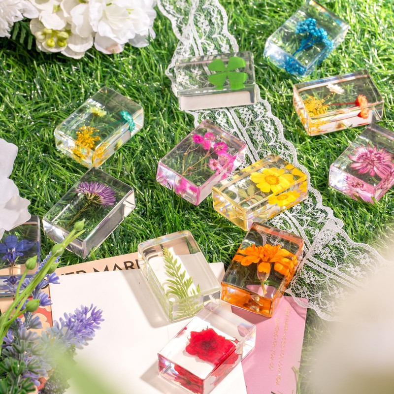 12 Pcs Real Pressed Flower Resin Paperweights - Botanical Specimen