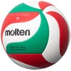 Molten V5M4000 Volleyball No. 5 Practice Ball Model
