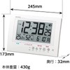 MAG W-785WH-Z Digital Guard Man Wall Clock, Radio Watch, Environment