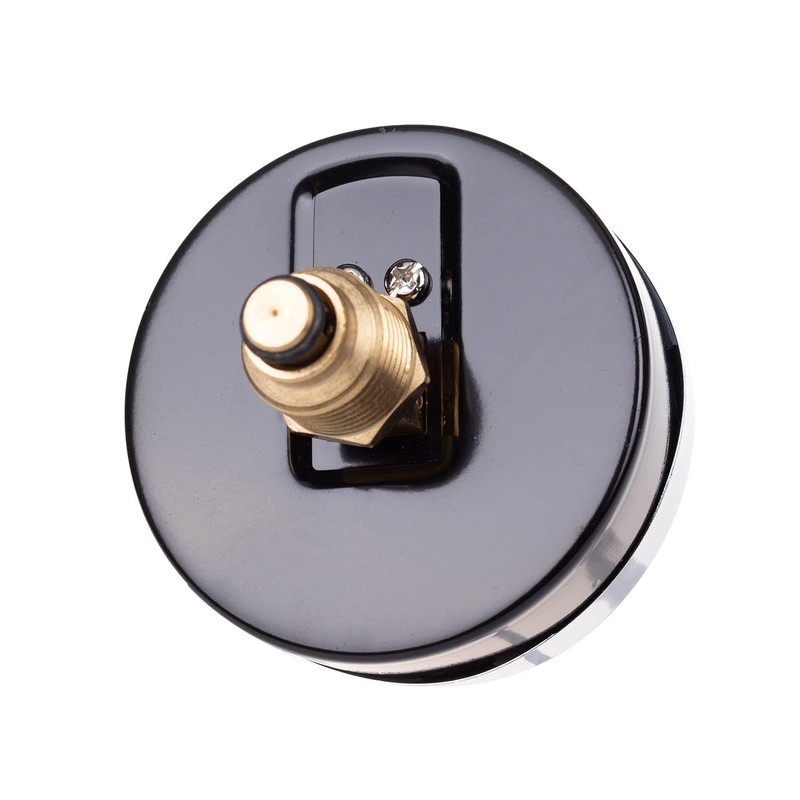 THERMIS Thermomanometer connection from the rear G1/2 (80 mm) 0-120°C