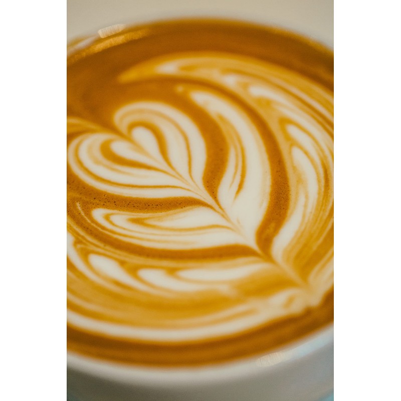 Rothrock Coffee Bear Meadows Dark Roast Whole Bean coffee 12oz