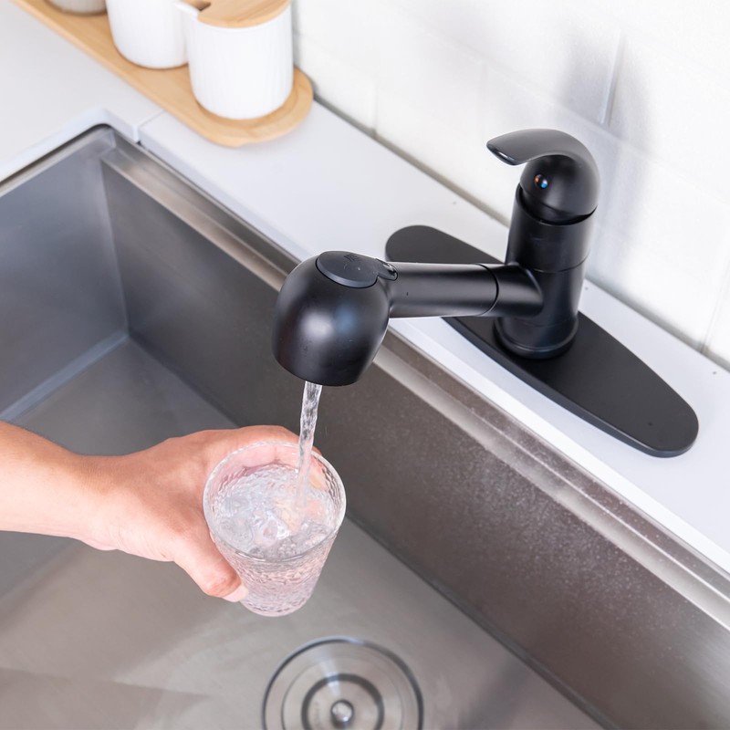 Matte Black Kitchen Faucet with Pull Out Sprayer, Small Single